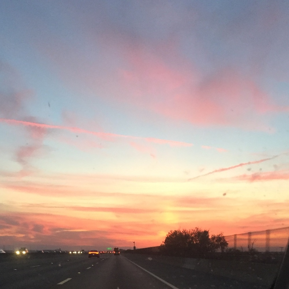 Meet your Posher, Reese